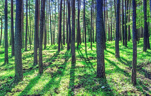 Free Nature Landscape photo and picture
