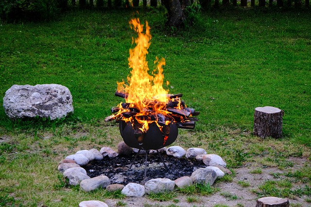 Free Campfire Flames photo and picture