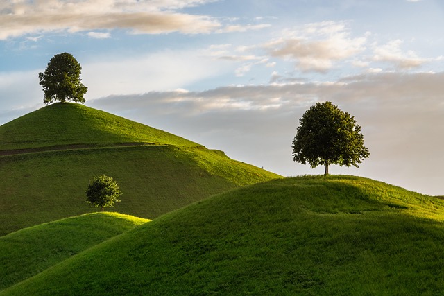 Free Hill Nature photo and picture