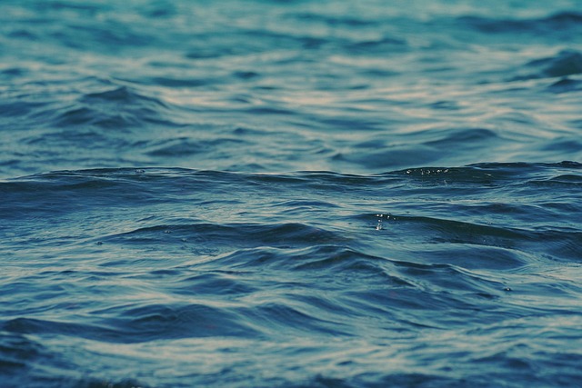 Free Water Waves photo and picture