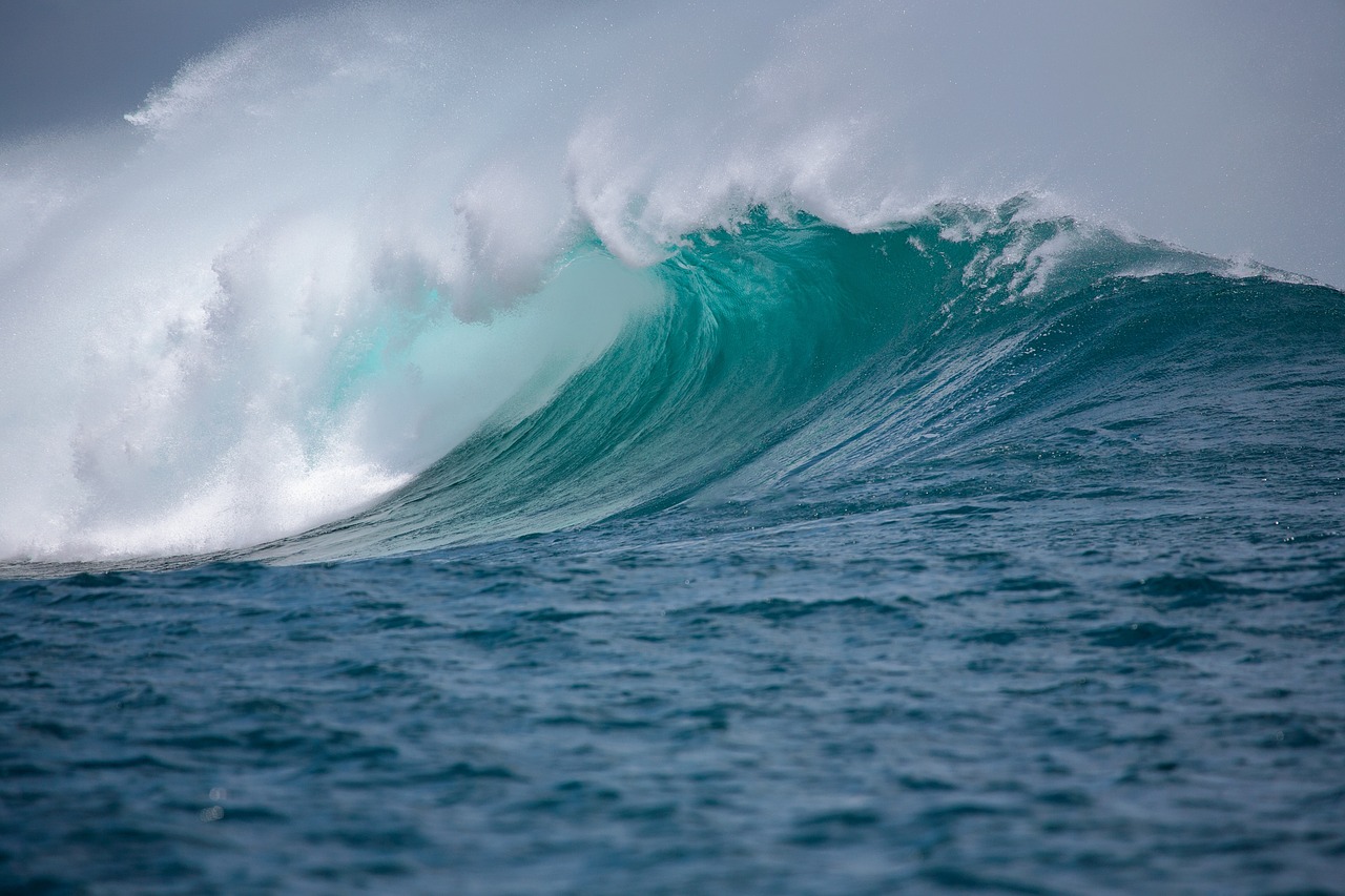 Free Sea Wave photo and picture